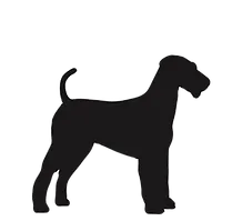 medium dogs_edited.png